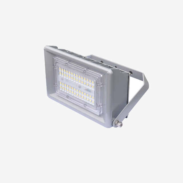 TE Series Tunnel Light - Một mô-đun (Giá đỡ quốc tế)